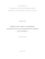 prikaz prve stranice dokumenta Promicanje sporta na primjeru manifestacije malonogometnog turnira „Kutija šibica“